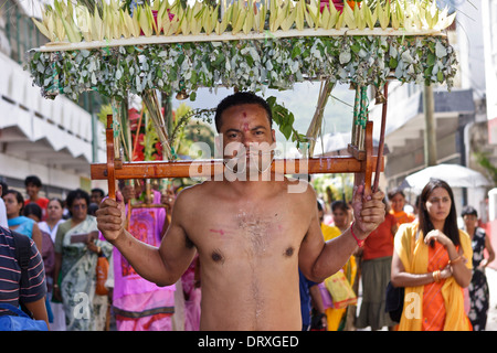 A devotee of Lord Muruga carrying a decorative cavadee during the Thaipoosam Cavadee religious festival, Mauritius. Stock Photo