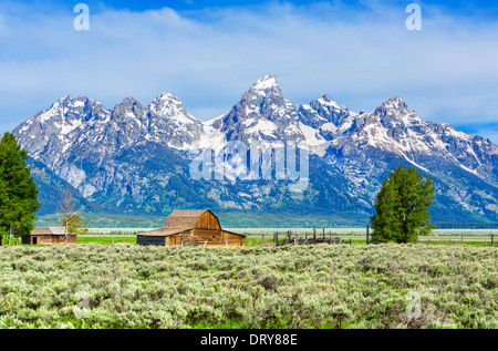 Historic Mormon Row, Grand Teton National Park, Jackson Hole valley, Wyoming, USA Stock Photo