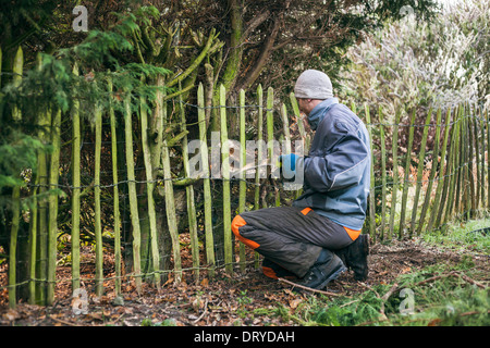 Professional gardener pruning tree with saw. Stock Photo