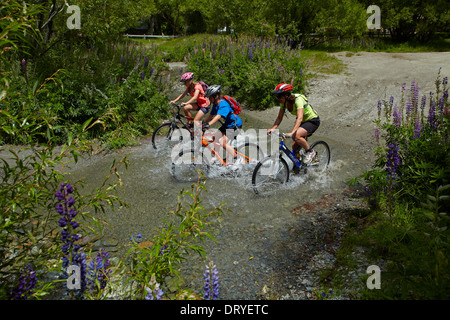 Mountain bikers crossing stream by Arrow River, by Arrow River Bridges Ride, Arrowtown, Otago, South Island, New Zealand Stock Photo