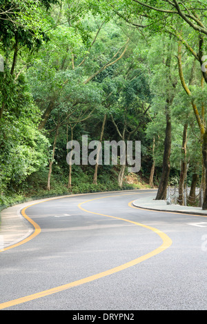 curved road with trees Stock Photo
