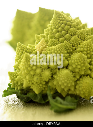 Still life of three romanesco cauliflower or broccoli heads. Stock Photo