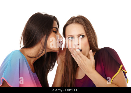 Portrait of two girlfriends gossiping and whispering secrets isolated on white Stock Photo
