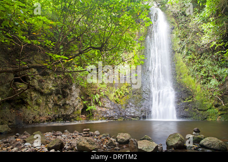 Waterfall on the Banks Peninsula Track Stock Photo