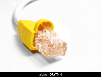Standard network cable. All on white background. Stock Photo
