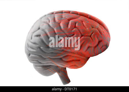model human brain digitally manipulated to signify activity Stock Photo
