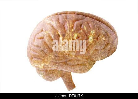 model human brain digitally manipulated to signify activity Stock Photo