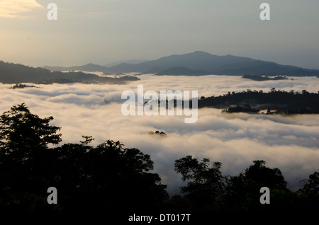 Low clouds covering valley, Danum Valley, Sabah, East Malaysia, Borneo Stock Photo