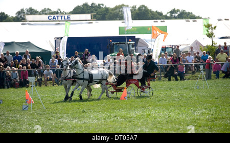 Competitors in the Double Harness Scurry Driving competition at the Edenbridge and Oxted Agricultural Show Lingfield in Surrey Stock Photo