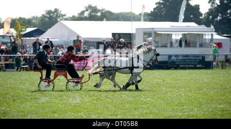 Competitors in the Double Harness Scurry Driving competition at the Edenbridge and Oxted Agricultural Show Lingfield in Surrey Stock Photo