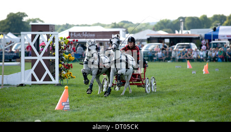 Competitors in the Double Harness Scurry Driving competition at the Edenbridge and Oxted Agricultural Show Lingfield in Surrey Stock Photo