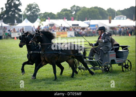 Competitors in the Double Harness Scurry Driving competition at the Edenbridge and Oxted Agricultural Show Surrey Stock Photo