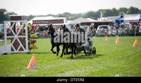 Competitors in the Double Harness Scurry Driving competition at the Edenbridge and Oxted Agricultural Show Surrey Stock Photo