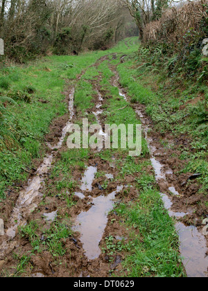 Wet and muddy Bridleway in winter, Cornwall, UK Stock Photo