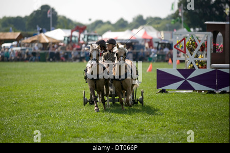 Competitors in the Double Harness Scurry Driving competition at the Edenbridge and Oxted Agricultural Show Surrey Stock Photo