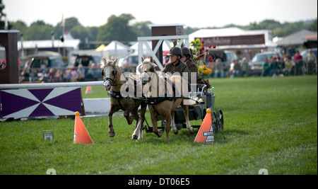 Competitors in the Double Harness Scurry Driving competition at the Edenbridge and Oxted Agricultural Show in Surrey Stock Photo