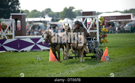 Competitors in the Double Harness Scurry Driving competition at the Edenbridge and Oxted Agricultural Show in Surrey Stock Photo