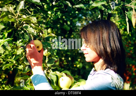 young woman in the garden, Stock Photo