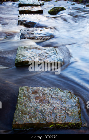 Stepping Stones over Kex Beck near Beamsley North Yorkshire England Stock Photo