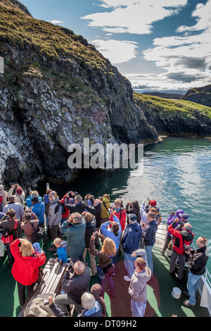 Tourists on ferry looking at bird life, Stykkisholmur,  Western, Iceland Stock Photo