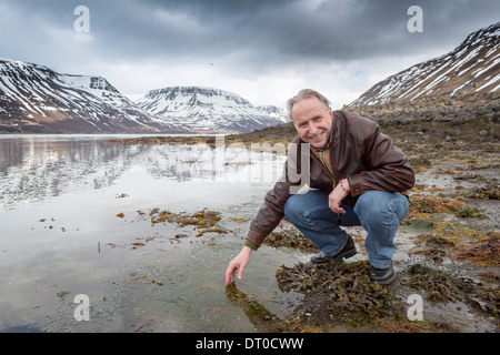 Geophysicist checking the water in the fjord, Sugandafjordur, Western, Iceland Stock Photo