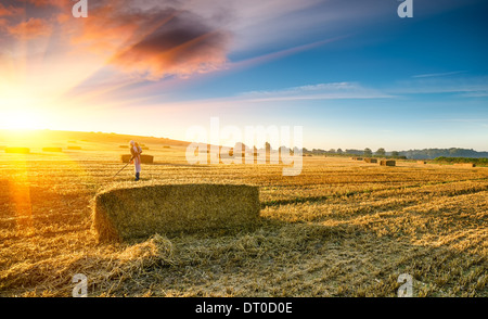 Young woman with child on her back working in the fields at harvest time Stock Photo