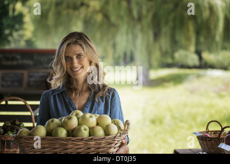 Woodstock New York USA Organic farmer young woman holding basket apples Stock Photo