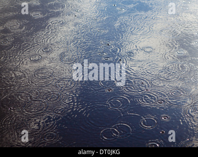 Washington state USA Rain drops and ripples on pool of water Stock Photo