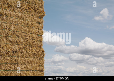 Washington USA Haystack stacked bales of hay in field Stock Photo