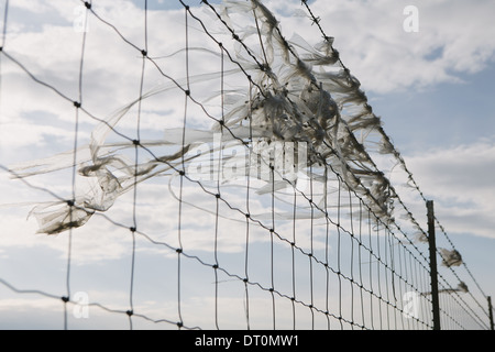 Seattle Washington USA shredded plastic bag caught on barbed wire fence Stock Photo