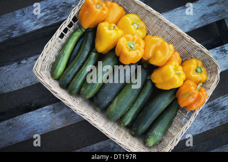 Woodstock New York USA Organic Zucchini Yellow Orange Bell Peppers Stock Photo