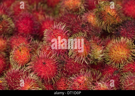 Lychee fruits (Litchi chinensis). Recently harvested variety, or cultivar, for sale on a Costa Rican roadside market stall. Stock Photo