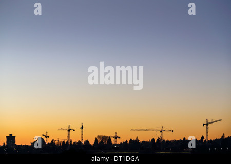 Construction Cranes at Dusk in South Vancouver, Canada Stock Photo
