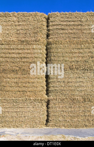 Tall stack of bales of hay in rural setting Stock Photo - Alamy