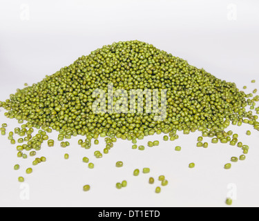 Mung beans also known as green gram or golden gram native to India Heaped on a white background
