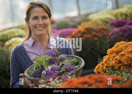 A woman holding a bowl of fresh produce purple sprouting broccoli Flowering plants Crysanthemums Stock Photo