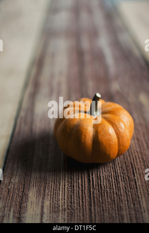 A small round pumpkin or squash vegetable with a bright orange skin on a wooden tabletop Stock Photo