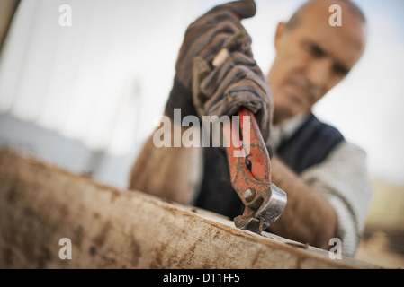 A man working in a reclaimed timber yard Using a tool to remove metals from a reclaimed piece of timber Stock Photo