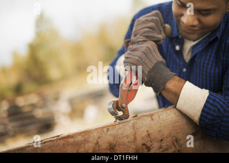 A man working in a reclaimed timber yard Using a tool to remove metals from a reclaimed piece of timber Stock Photo