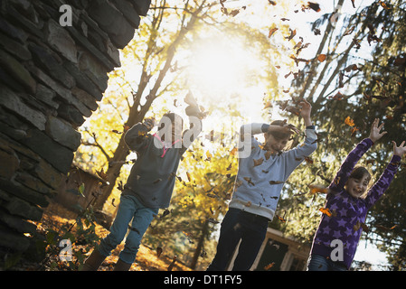 Three children in the autumn sunshine Playing outdoors throwing the fallen leaves in the air Stock Photo