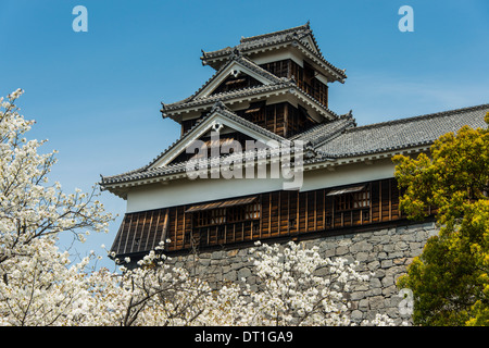 Cherry blossom and Kumamoto Japanese Castle, Kumamoto, Kyushu, Japan, Asia Stock Photo