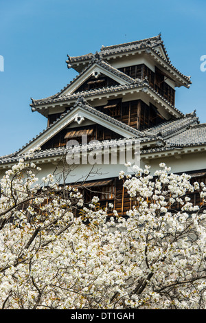 Cherry blossom and Kumamoto Japanese Castle, Kumamoto, Kyushu, Japan, Asia Stock Photo