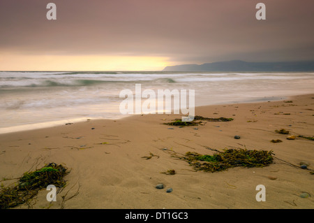 Porth Neigwl, Hell's Mouth, Llyn Peninsula, Gwynedd, Wales, United Kingdom, Europe Stock Photo