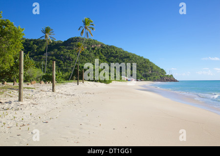 Darkwood Beach, St. Johns, Antigua, Leeward Islands, West Indies, Caribbean, Central America