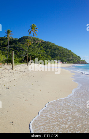 Darkwood Beach, St. Johns, Antigua, Leeward Islands, West Indies, Caribbean, Central America