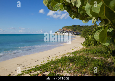 Darkwood Beach, St. Johns, Antigua, Leeward Islands, West Indies, Caribbean, Central America