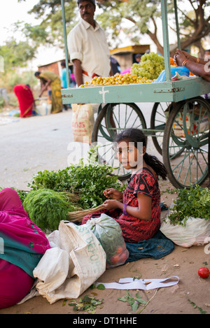 Young Indian girl selling herbs from a basket in a street market. Andhra Pradesh, India Stock Photo