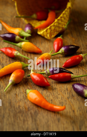 Prairie fire atomic chilli, Heatwave chilli, yellow wicker basket, rustic table Stock Photo