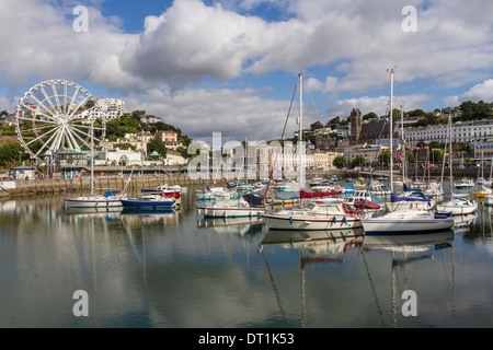 Harbour, Torquay, Devon. England, United Kingdom, Europe Stock Photo