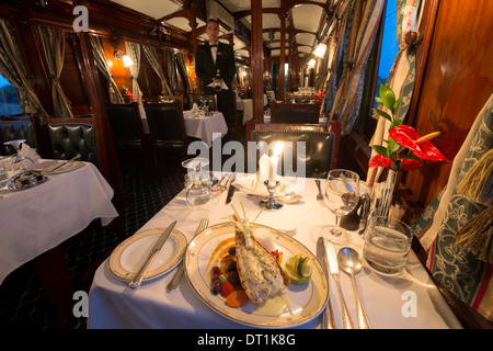 Dinner in the galleried wood panelled Edwardian vintage dining coach, Rovos Rail, South Africa, Africa Stock Photo